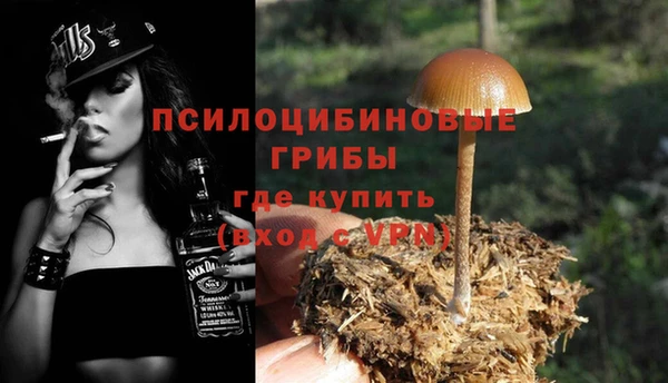 PSILOCYBIN Беломорск